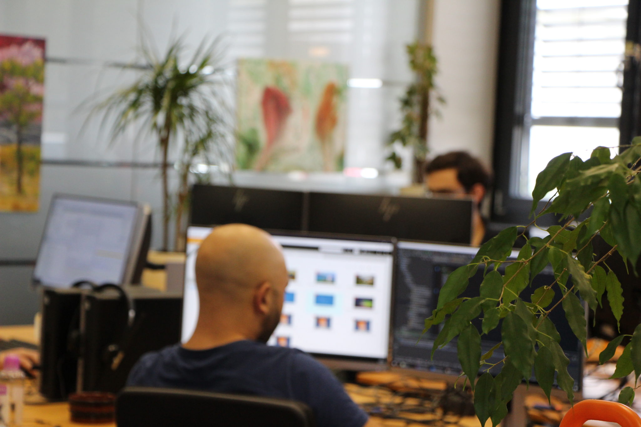 Development work in the SiteFusion office