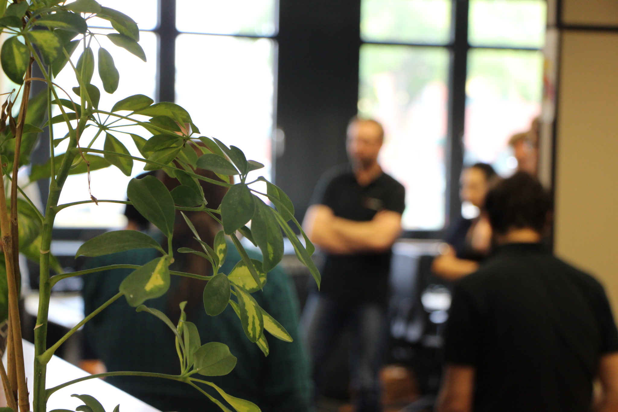 Discussion in the SiteFusion office